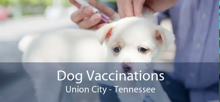 Dog Vaccinations Union City - Tennessee