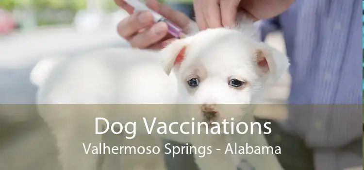 Dog Vaccinations Valhermoso Springs - Alabama