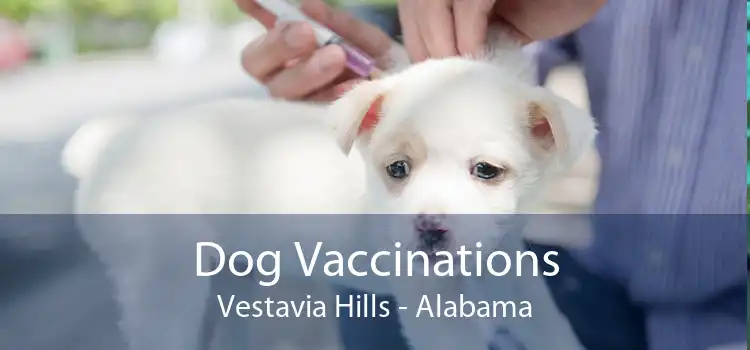 Dog Vaccinations Vestavia Hills - Alabama