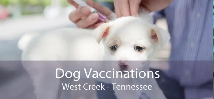 Dog Vaccinations West Creek - Tennessee