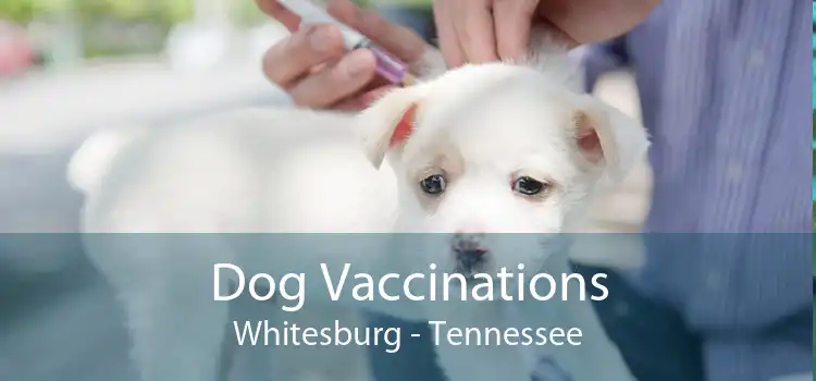 Dog Vaccinations Whitesburg - Tennessee