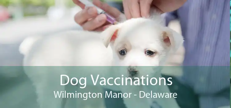 Dog Vaccinations Wilmington Manor - Delaware