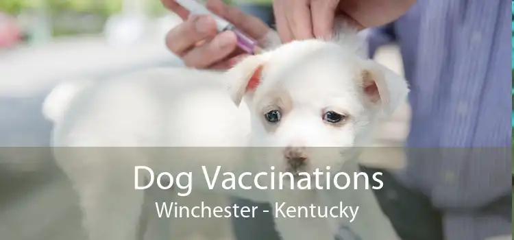 Dog Vaccinations Winchester - Kentucky