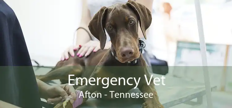 Emergency Vet Afton - Tennessee