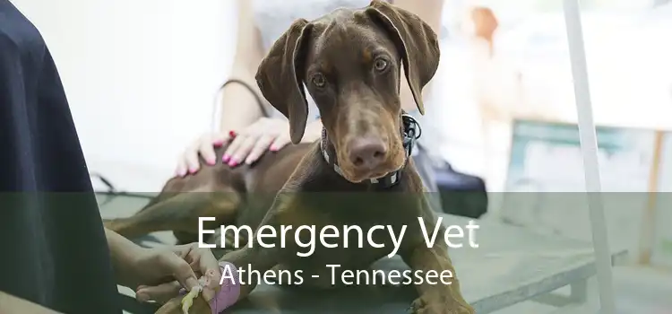 Emergency Vet Athens - Tennessee