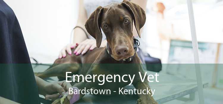 Emergency Vet Bardstown - Kentucky