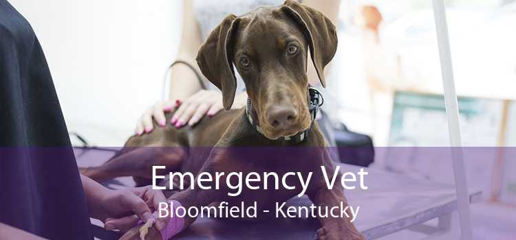 Emergency Vet Bloomfield - Kentucky