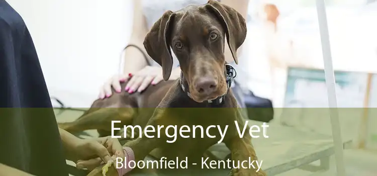 Emergency Vet Bloomfield - Kentucky