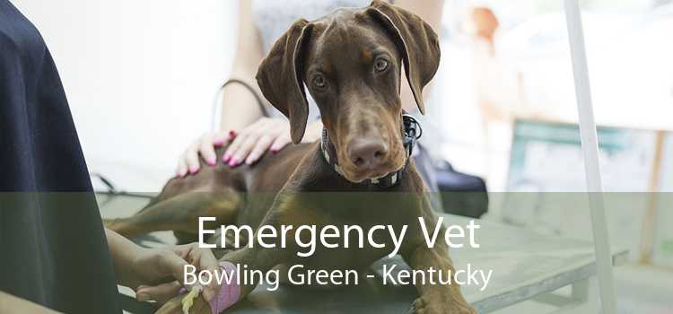 Emergency Vet Bowling Green - Kentucky
