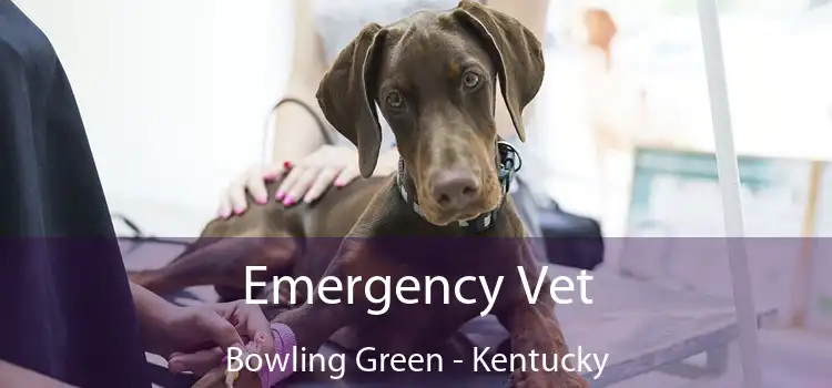Emergency Vet Bowling Green - Kentucky