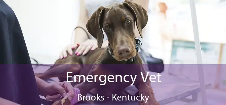 Emergency Vet Brooks - Kentucky