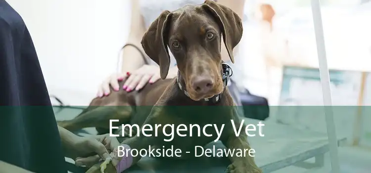 Emergency Vet Brookside - Delaware