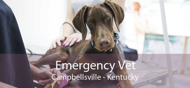 Emergency Vet Campbellsville - Kentucky