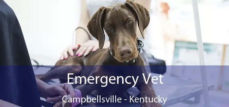 Emergency Vet Campbellsville - Kentucky