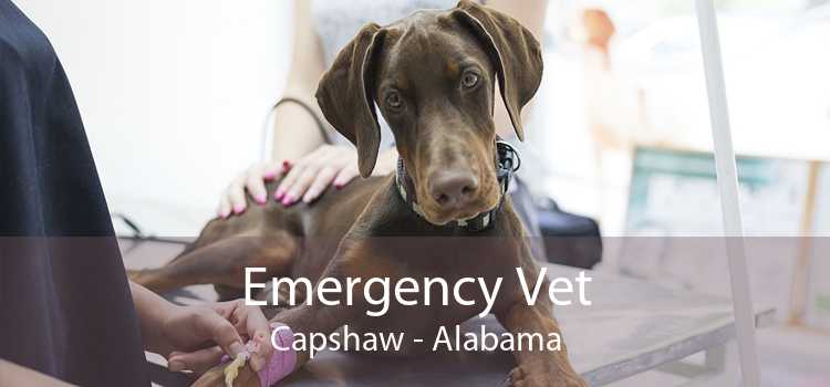 Emergency Vet Capshaw - Alabama