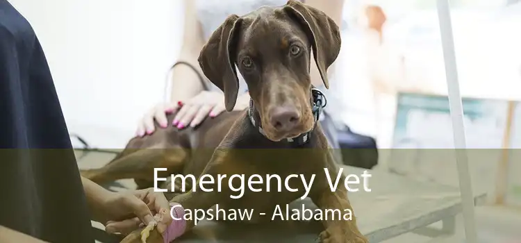 Emergency Vet Capshaw - Alabama