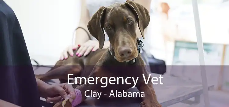 Emergency Vet Clay - Alabama