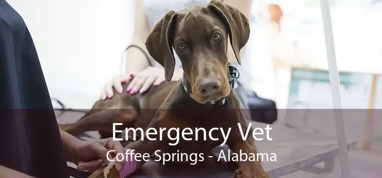 Emergency Vet Coffee Springs - Alabama