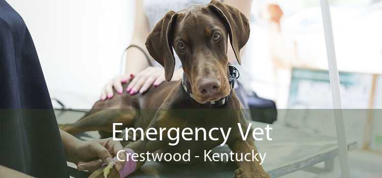 Emergency Vet Crestwood - Kentucky
