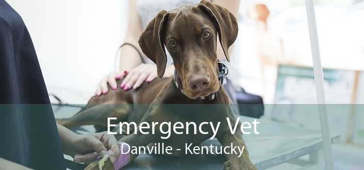 Emergency Vet Danville - Kentucky