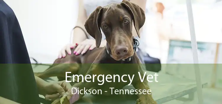 Emergency Vet Dickson - Tennessee