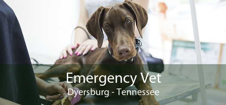 Emergency Vet Dyersburg - Tennessee
