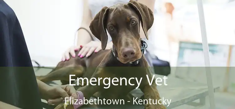 Emergency Vet Elizabethtown - Kentucky