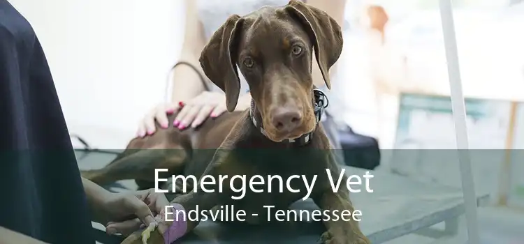 Emergency Vet Endsville - Tennessee