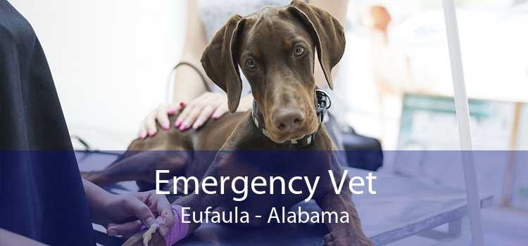 Emergency Vet Eufaula - Alabama