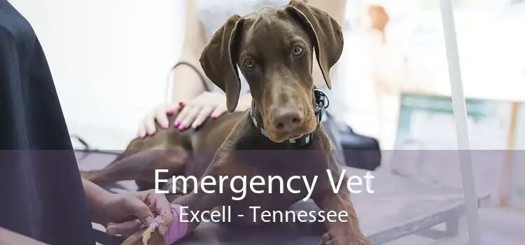 Emergency Vet Excell - Tennessee