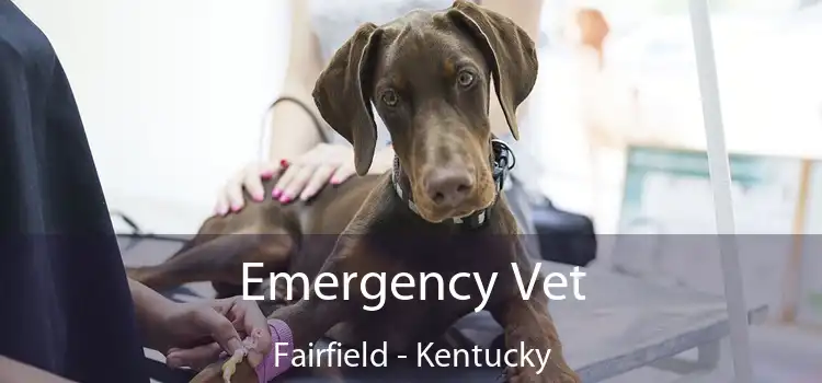 Emergency Vet Fairfield - Kentucky