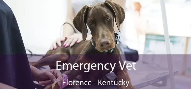 Emergency Vet Florence - Kentucky