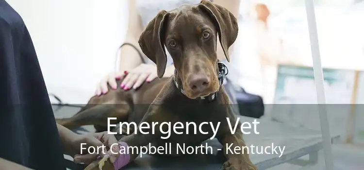 Emergency Vet Fort Campbell North - Kentucky