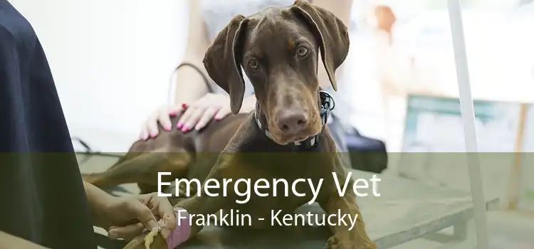 Emergency Vet Franklin - Kentucky