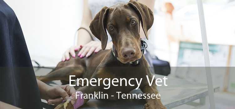 Emergency Vet Franklin - Tennessee