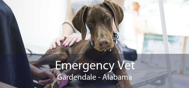 Emergency Vet Gardendale - Alabama