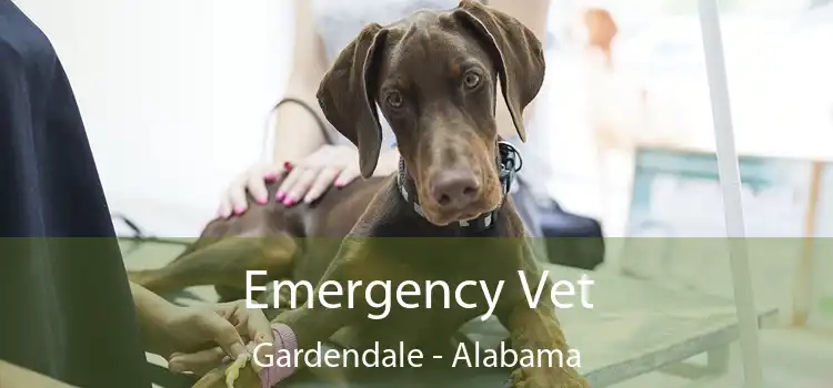 Emergency Vet Gardendale - Alabama