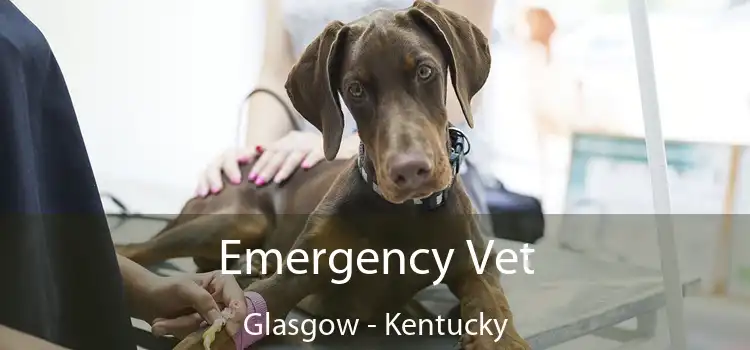 Emergency Vet Glasgow - Kentucky