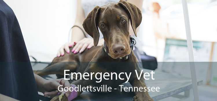 Emergency Vet Goodlettsville - Tennessee