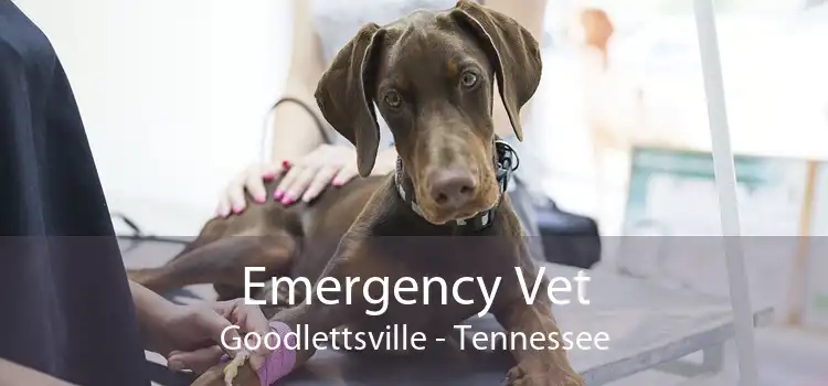 Emergency Vet Goodlettsville - Tennessee