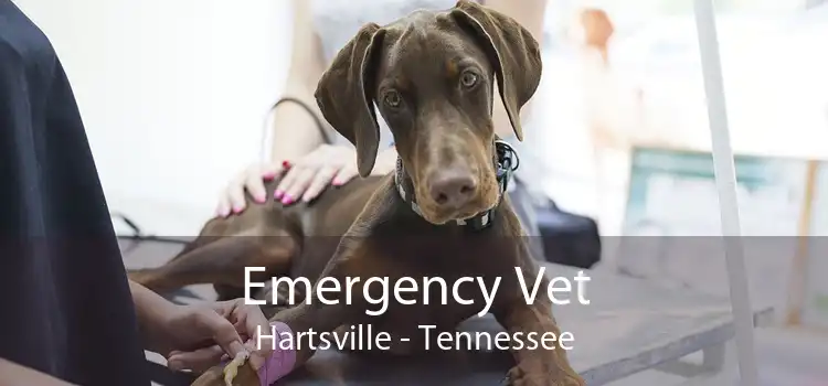 Emergency Vet Hartsville - Tennessee
