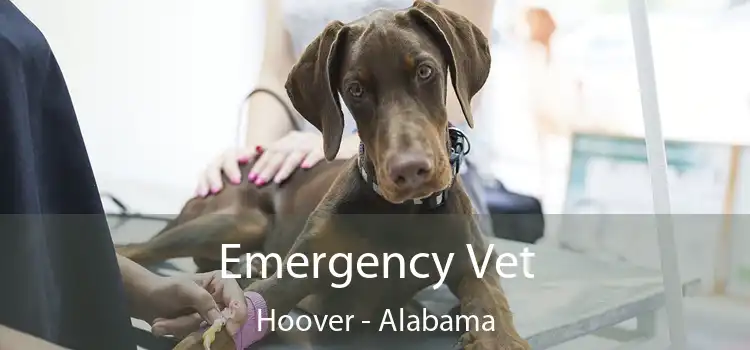 Emergency Vet Hoover - Alabama