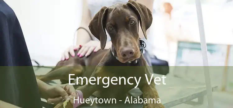 Emergency Vet Hueytown - Alabama