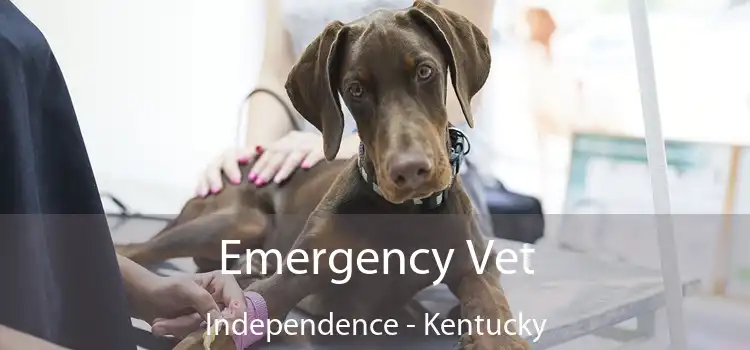 Emergency Vet Independence - Kentucky