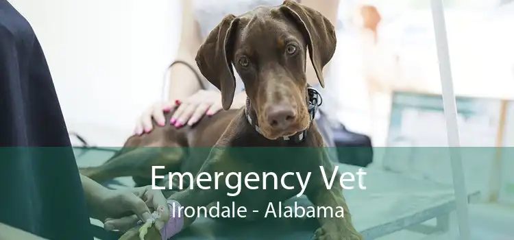 Emergency Vet Irondale - Alabama