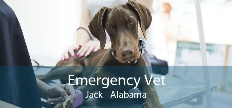 Emergency Vet Jack - Alabama