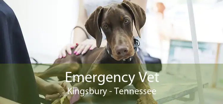 Emergency Vet Kingsbury - Tennessee