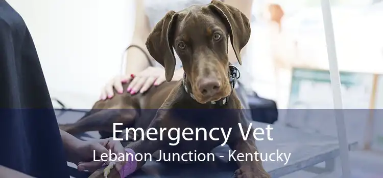 Emergency Vet Lebanon Junction - Kentucky