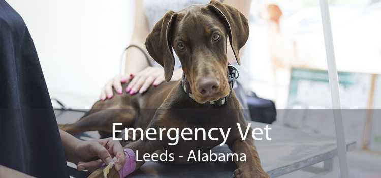 Emergency Vet Leeds - Alabama
