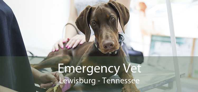 Emergency Vet Lewisburg - Tennessee
